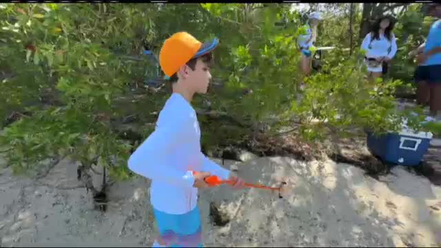 Miami Launches Leave No Trace Policy to Protect Biscayne Bay