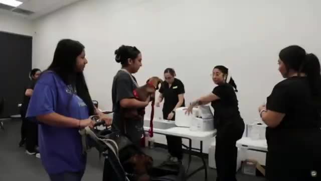 City Health Department Hosts Successful Indoor Pet Vaccination Event