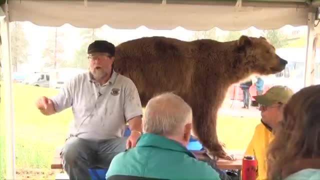 Wildlife biologist says Milltown area is a key regional corridor; urges planning to preserve movement