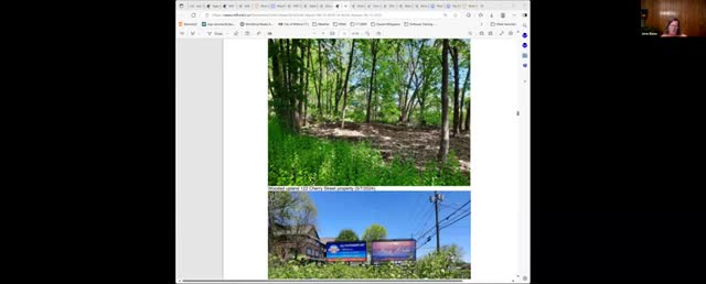 Commission Proposes Removal of Yard Debris and Native Planting Near Wetland Area