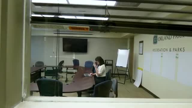 Unidentified commenter tells meeting, “American English is coming to Orland Park”