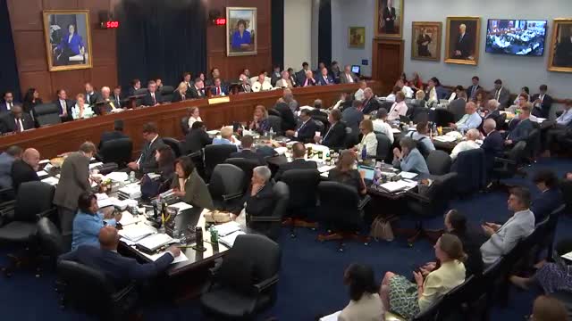 House Vote Reveals Divided Opinions Among Representatives