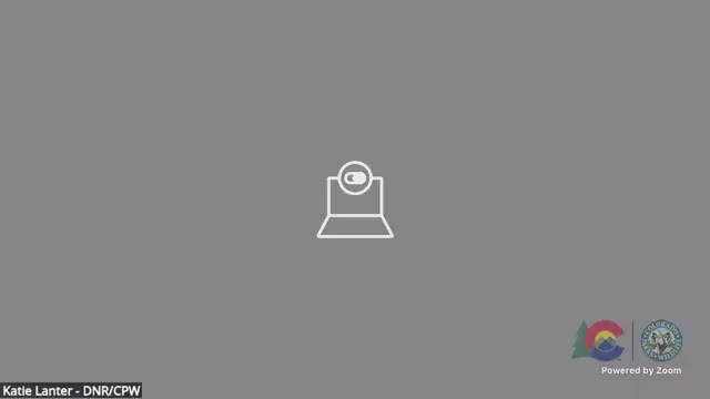 Public commenters press commission on wolf reintroduction, depredation response and wildlife policy