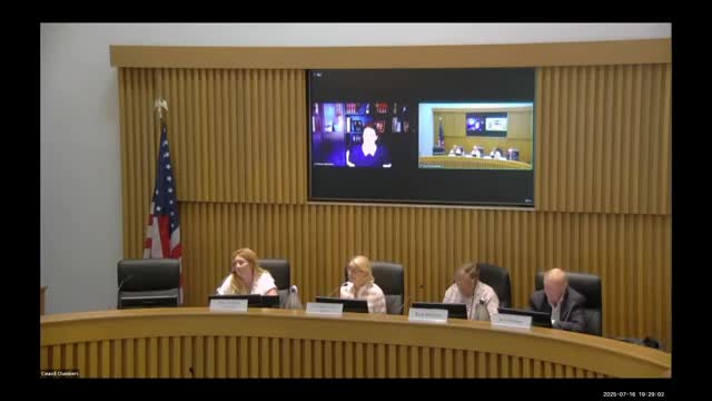 City Council Denies Appeal for Variances at 94 Palmer Lane
