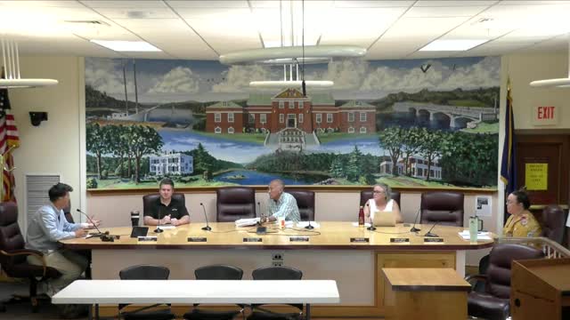 Council debates frequency and format of finance meetings, workshop role