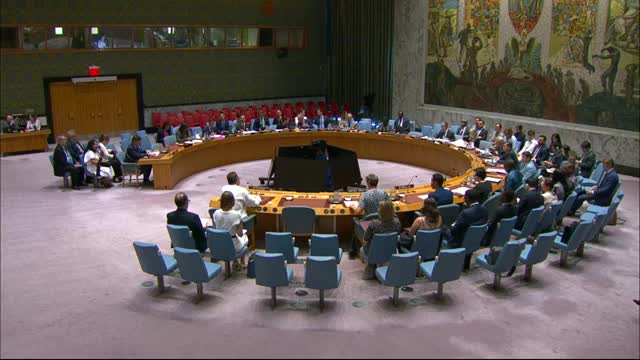 United Nations Officials Discuss Colombia's Ongoing Peace Process and Political Violence