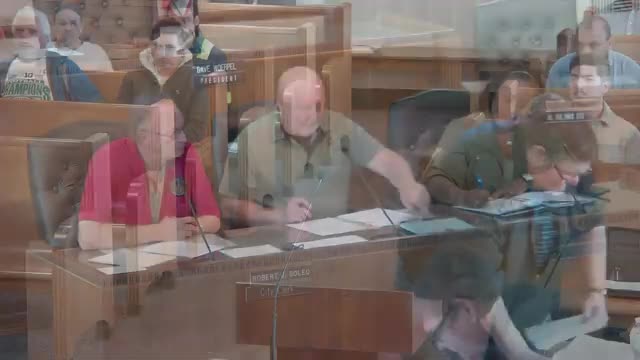 Board notes contracts for two professional fireworks shows in July