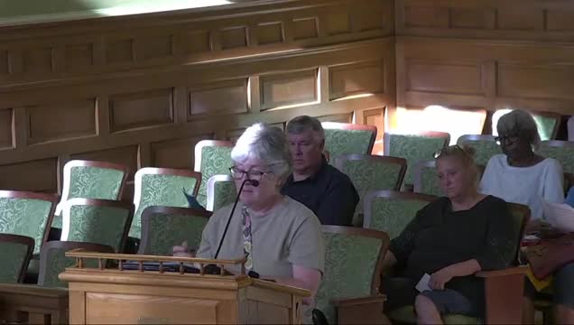 Bay City Residents Oppose Flock Safety Automated License Plate Reader Contract