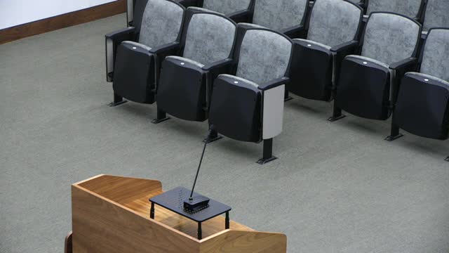 City Council Appoints Michael Scholler to Building Standards Commission