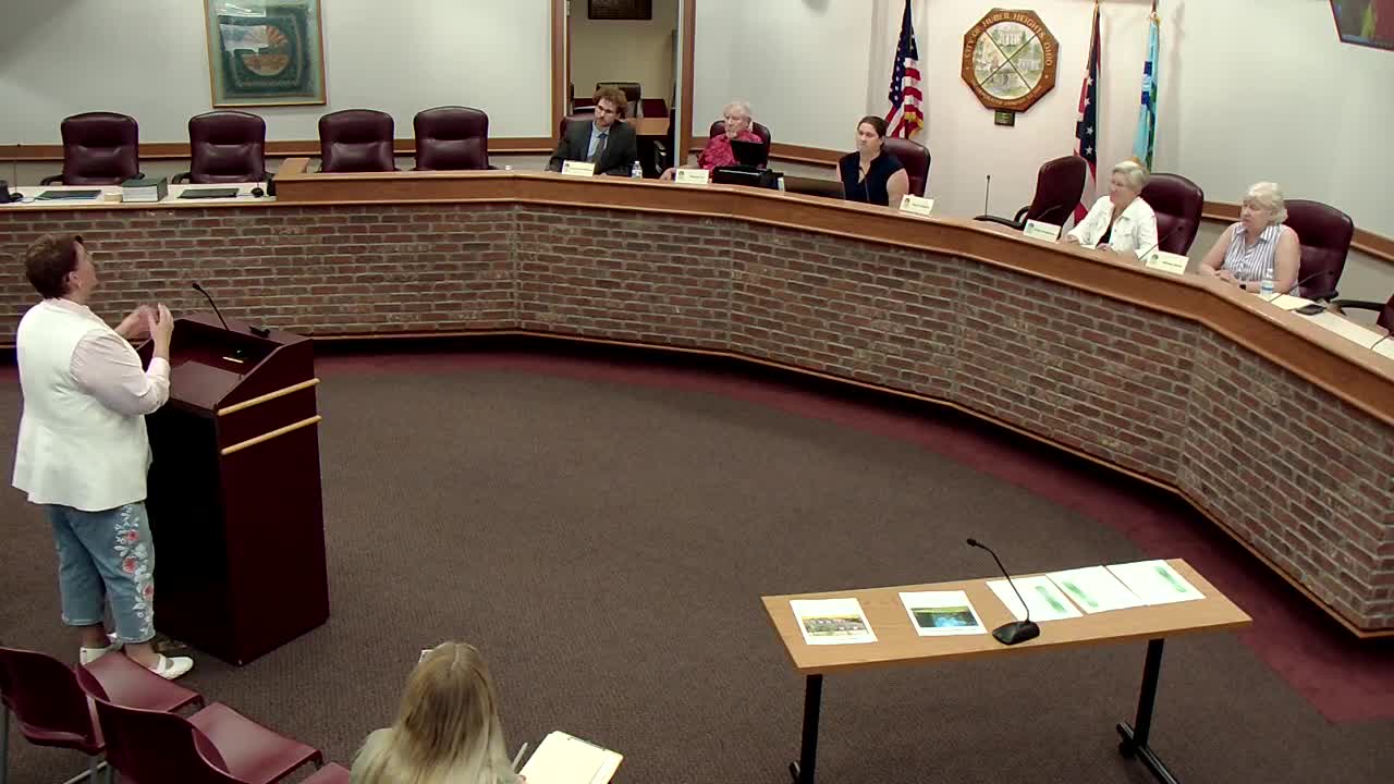Hubert Council Proposes $2000 Flowerpot Art Initiative for Local Businesses