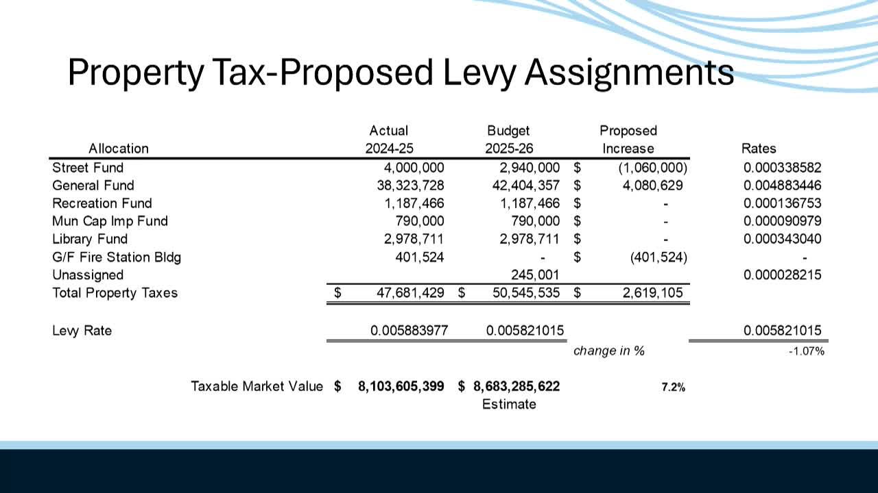 Council Discusses Library Funding Adjustment During Budget Review