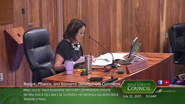 Maui Economic Recovery Commission outlines recovery projects after community wildfire devastation