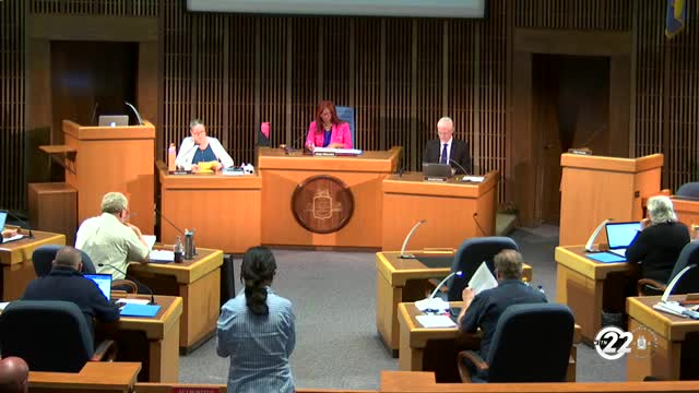 Council Approves Falconers Road Subdivision Plan with 11 Residential Lots
