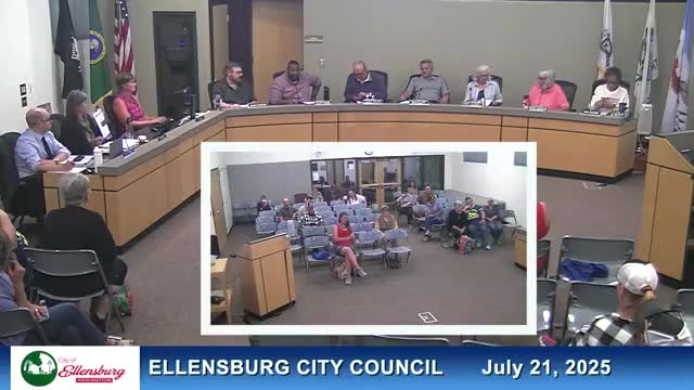 Council declines to add proposed chapter to comprehensive plan, asks for more work