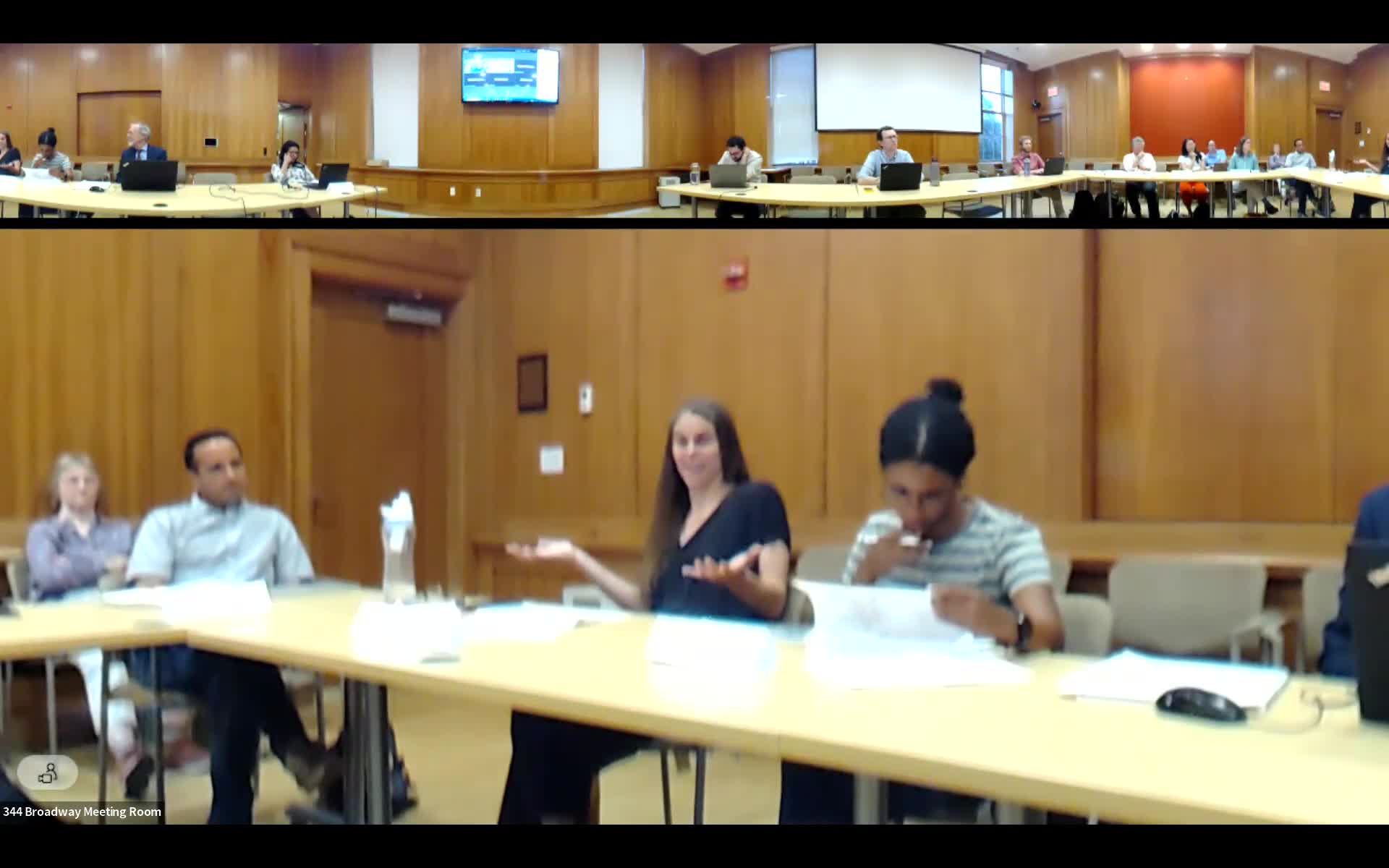 City Council Discusses Urban Planning Strategies for Enhanced Public Spaces
