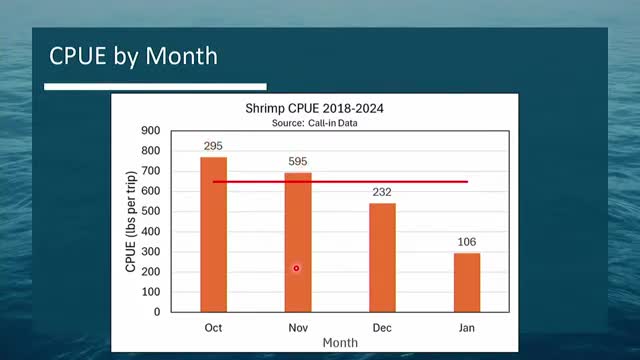 Virginia Commission Expands Eastern Shore Shrimp Trawl Licenses and Adjusts Regulations