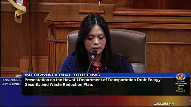 Hawaii Lawmakers Examine Electric Vehicle Challenges for Rental Car Operators