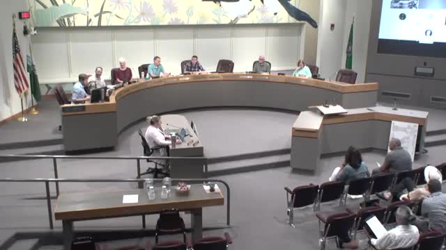 Plan Commission recommends private street, alley and driveway clarifications; commissioners debate driveway limits