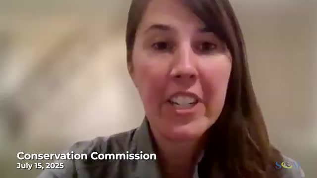 Conservation commission takes dark‑sky regulation draft to zoning commission; coordinating committee work pushed to September