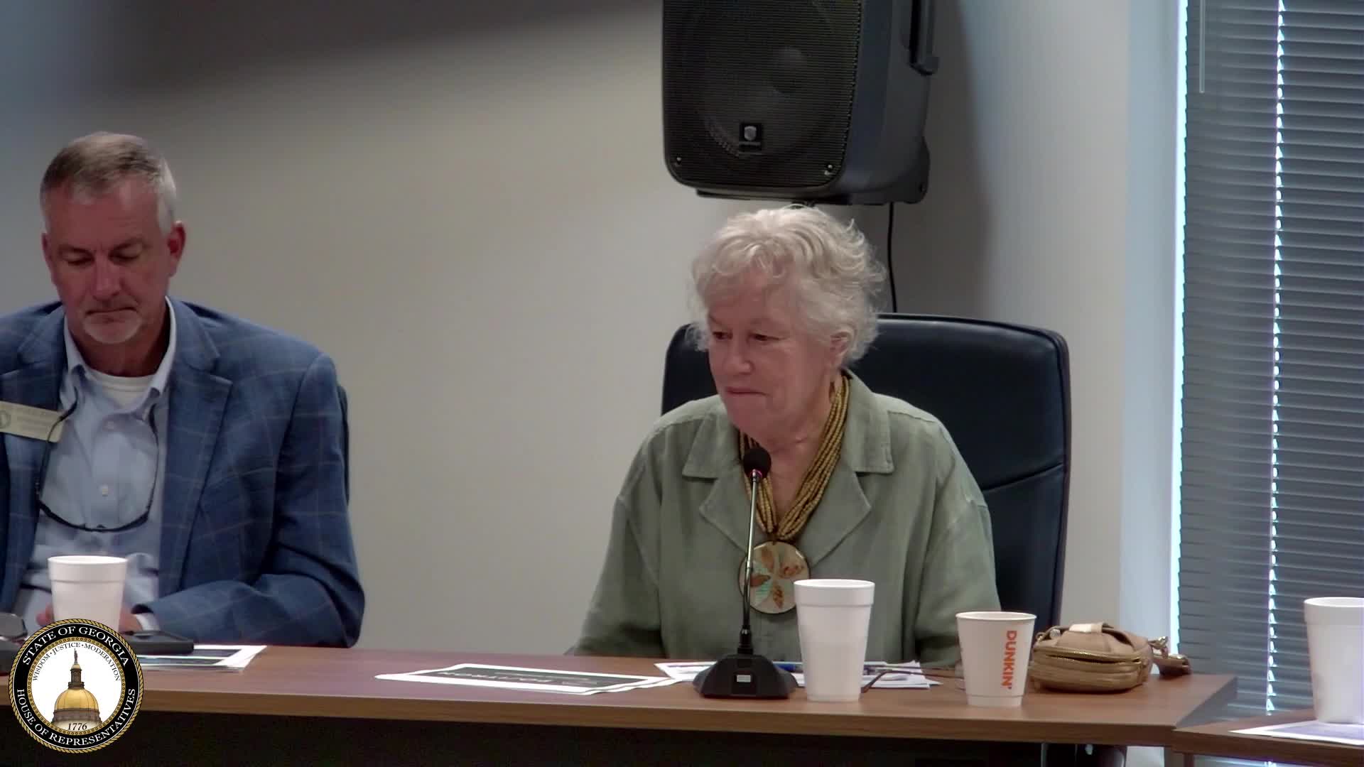 Georgia EPD official outlines permitting thresholds, regional planning roles for water and wastewater