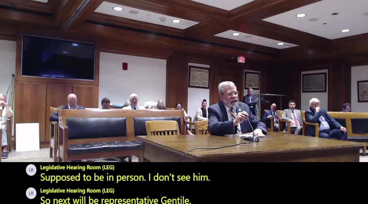 Mass. hearing weighs statewide ban on artificial turf amid health and waste concerns