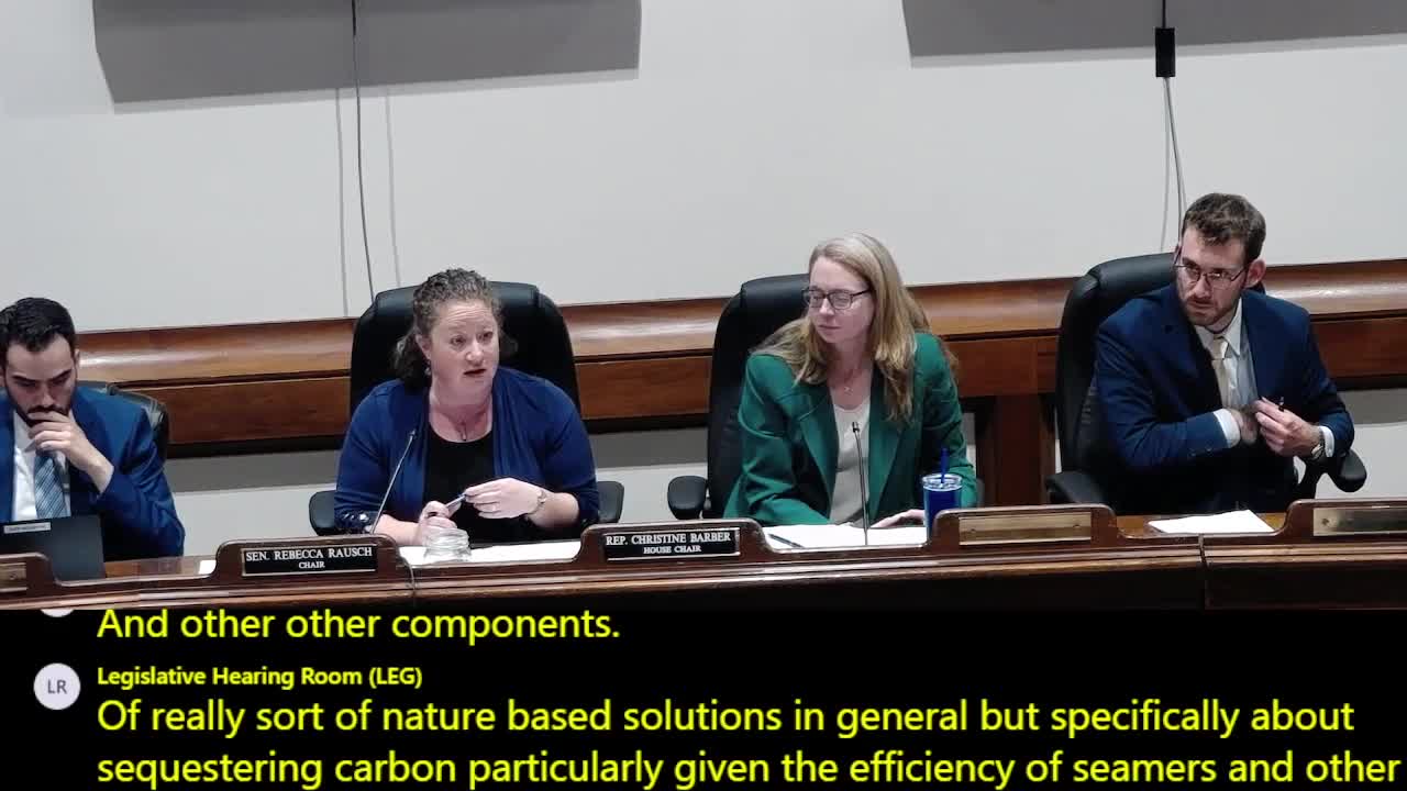 Coastal groups urge permit streamlining and more funding for salt‑marsh restoration