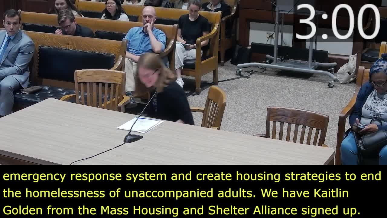 Supportive-housing advocates push for interagency board, 2,000-unit goal