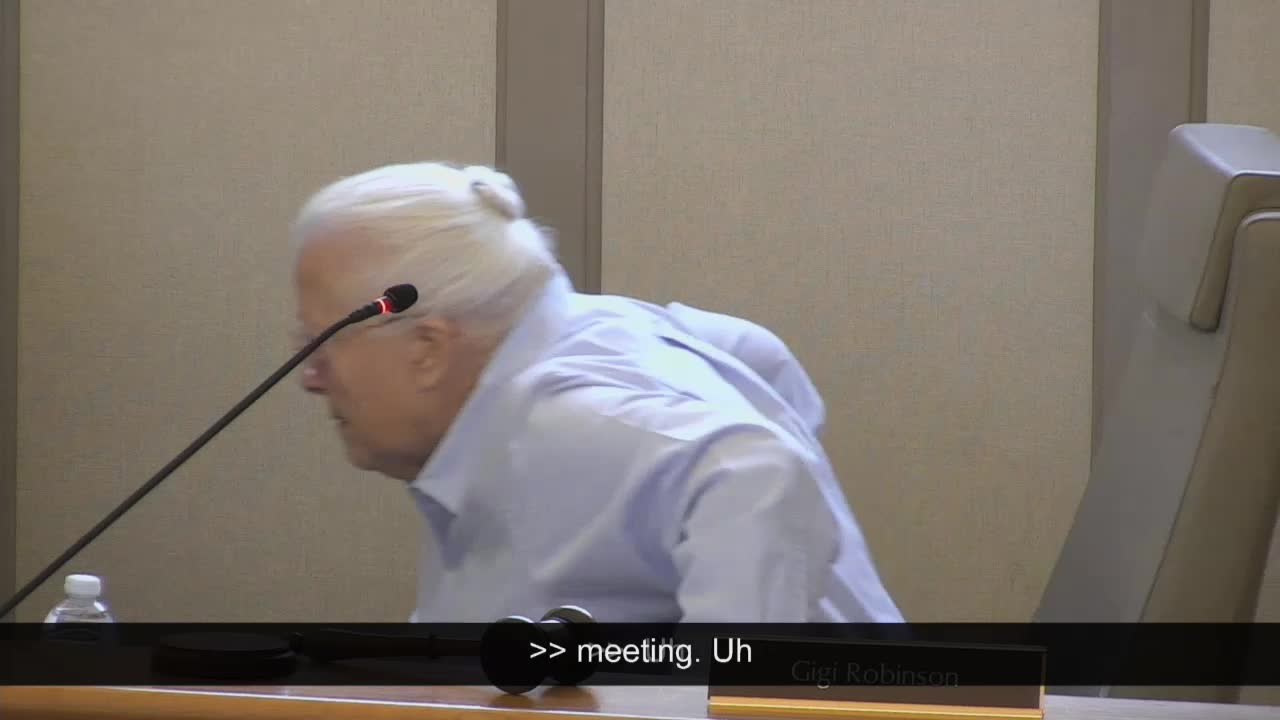 Leesburg Planning Commission Allows Remote Participation in Meeting Proceedings