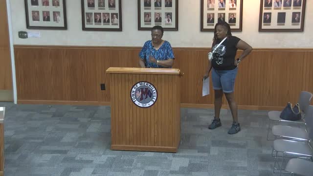 Maryville residents address stray dogs homelessness and safety hazards at community meeting