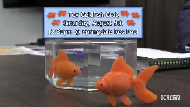 Springdale mayor announces Pretzel Fest, Goldfish Grab and Junior Olympics dates