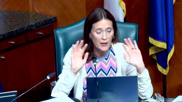Houston Council Discusses Scooter Ban and Safety Regulations for Youth Riders