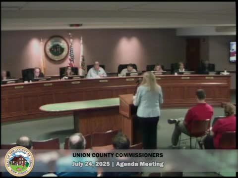 Lake County Council Addresses Fund Reallocation and Resolutions in Public Meeting