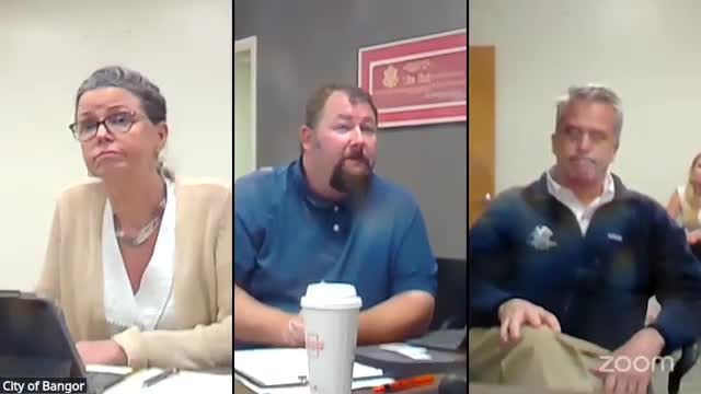 Council Discusses Speed Bumps and Traffic Safety Measures on Local Roads