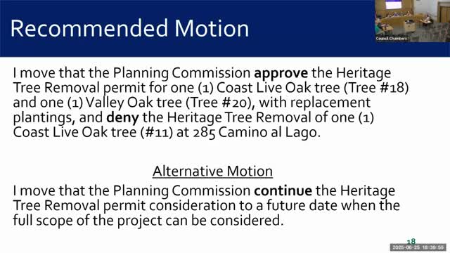 Planning Commission Reviews Tree Removal Request for Residential Project in Atherton
