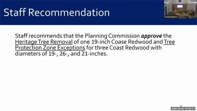 Burlingame Planning Commission Approves Heritage Tree Exemptions for Parking Pad Construction