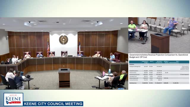 Council Discusses Budget Strategy Amid Revenue Growth and Expense Concerns