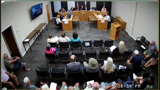 City Council Votes to Censure Member Allison Lafane for Conduct Issues