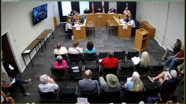 Ione council adopts censure of Councilmember Lisonbee Lefaine after investigator finds multiple violations