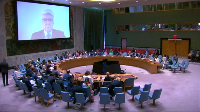 UN Security Council Urges Immediate Ceasefire Amid Intensifying Attacks in Ukraine