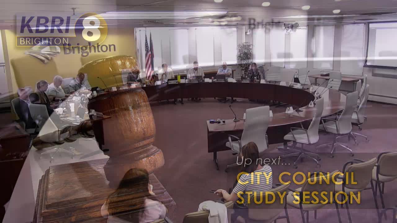 City Council Considers Daniel Sherman for District Plan Commission Appointment