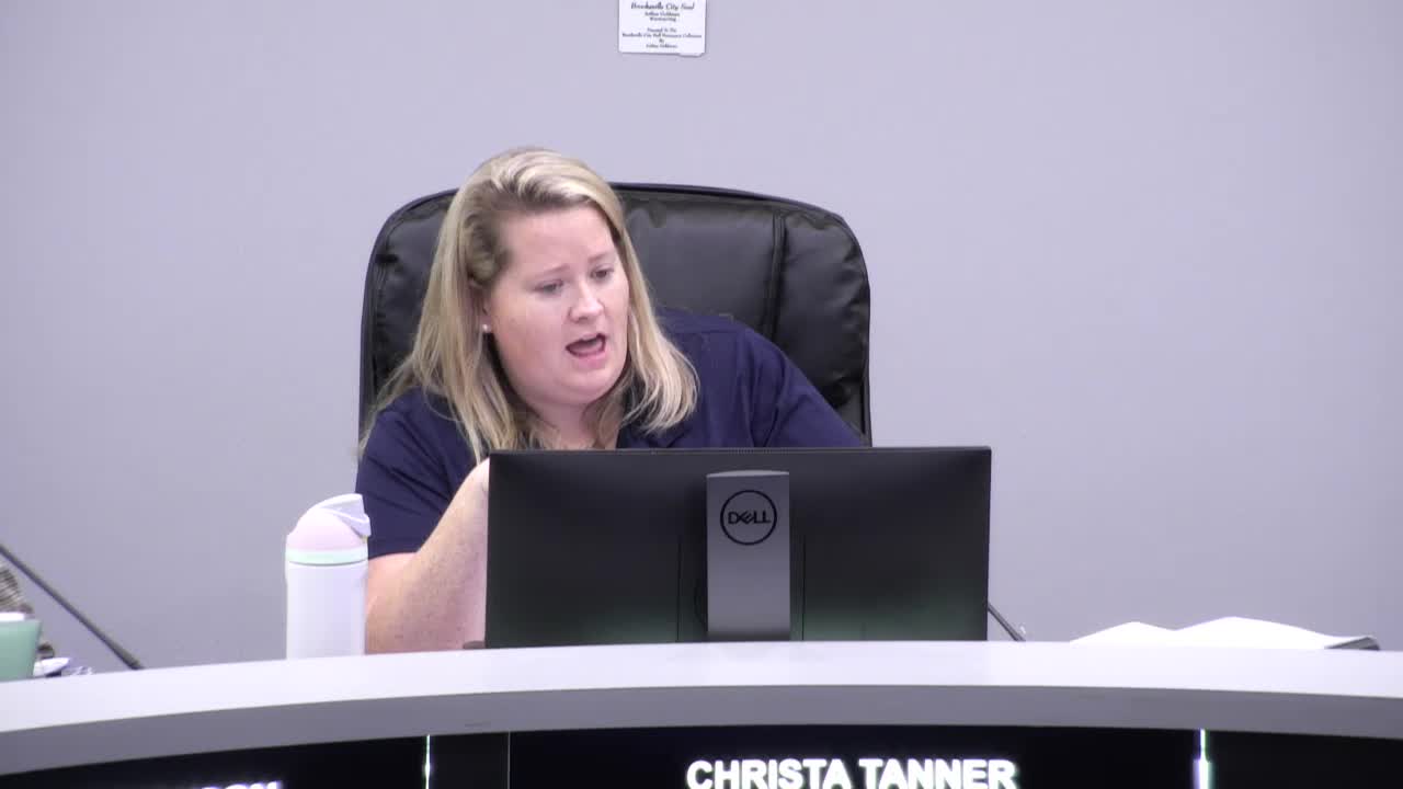 Hernando County Council Discusses Fire Station Consolidation and Lease Options