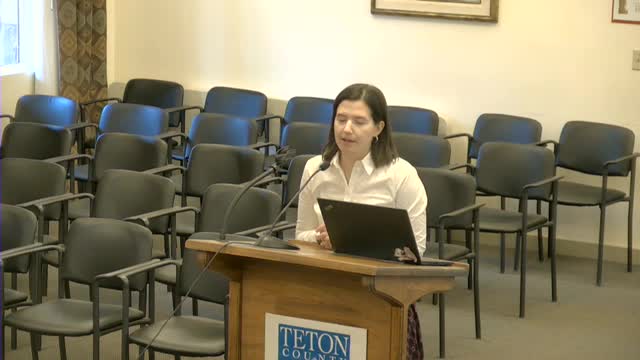 Regional Transportation Task Force discusses Teton Pass project funding and wildlife crossings