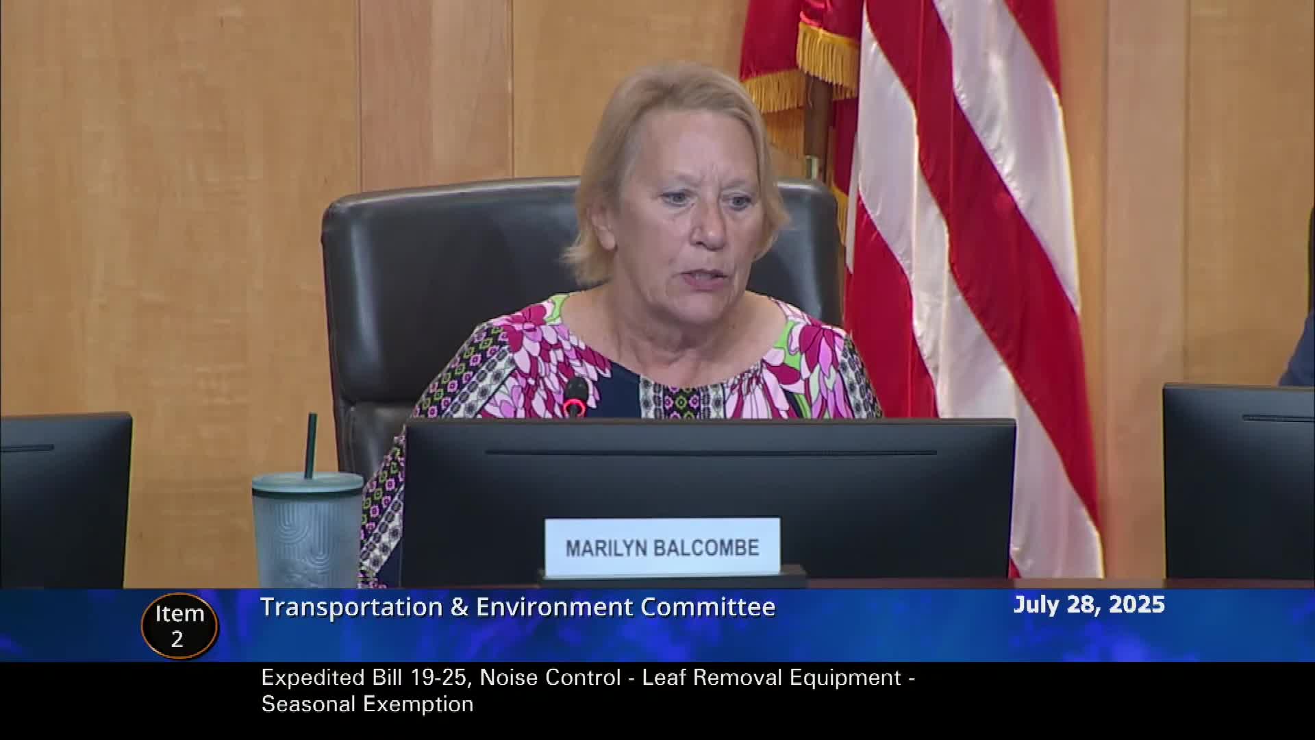 Legislators Address Challenges of Electric Leaf Blowers During Fall Cleanup