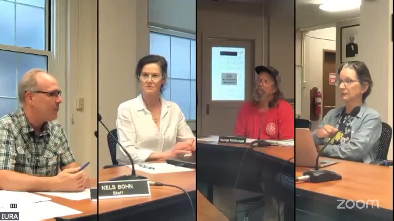 Ithaca Urban Renewal Agency discusses collaboration limits and local business support