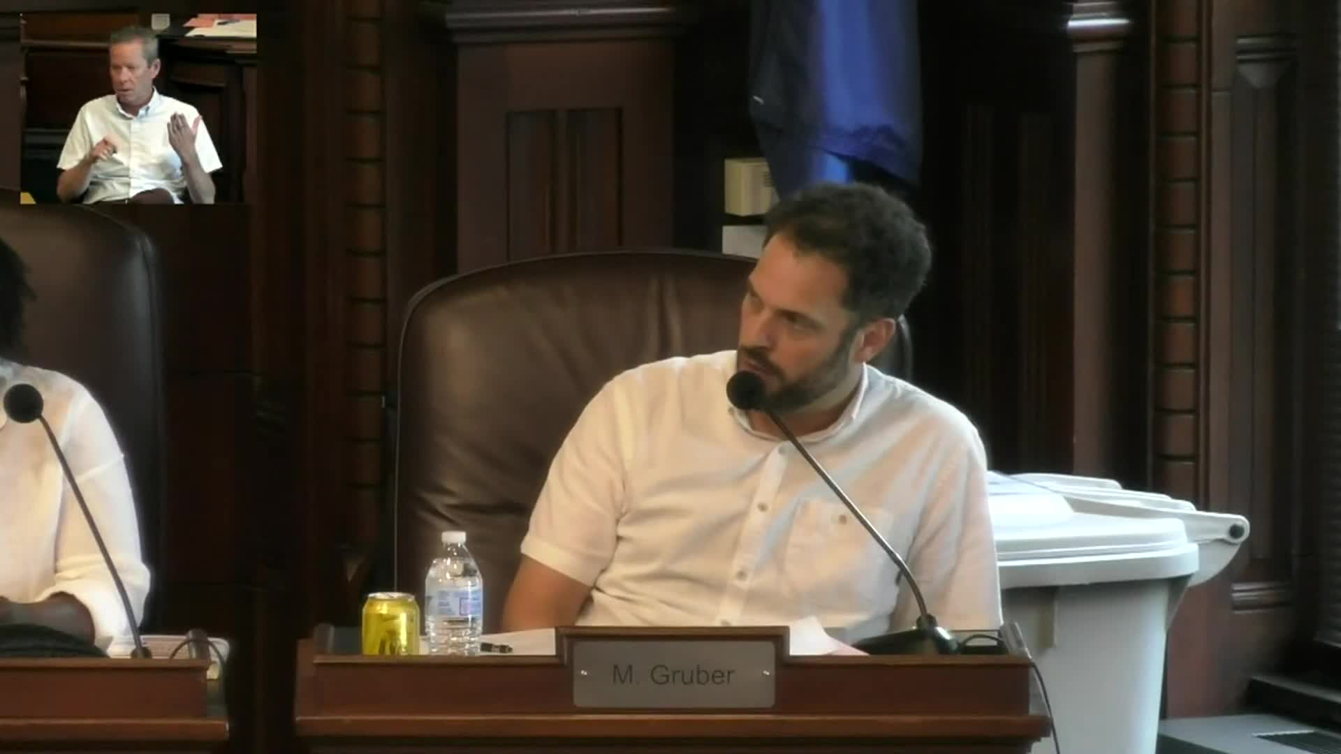 Council holds Downtown Enhancement District appointments pending memo on district structure