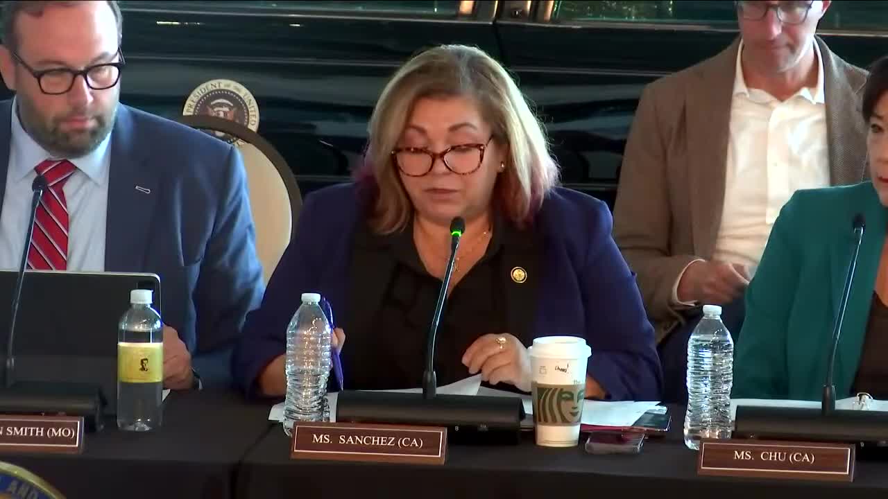 Californians urge action against ICE raids harming immigrants and local economy