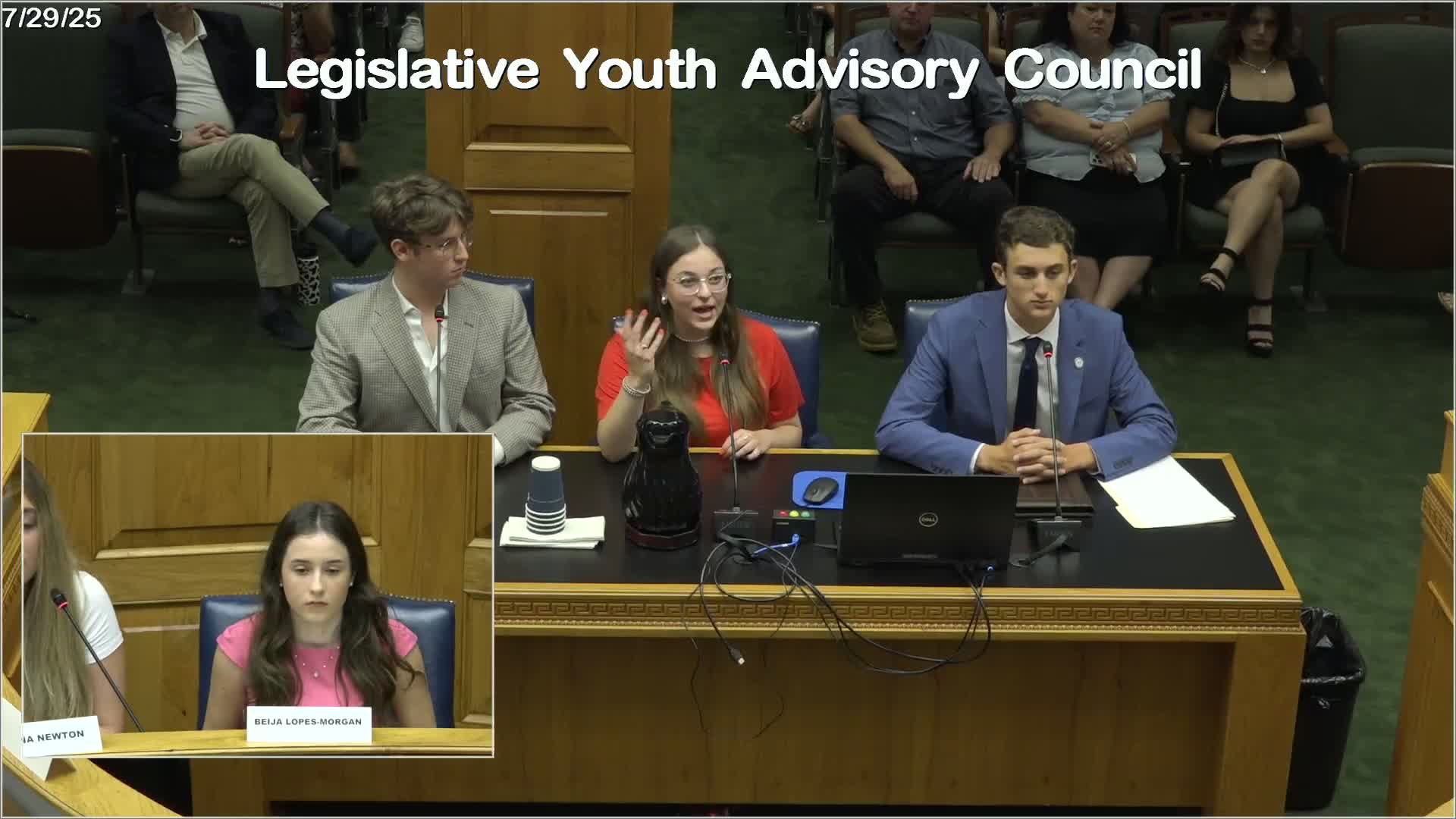 LIAC Members Discuss School Safety and Youth Legislative Engagement