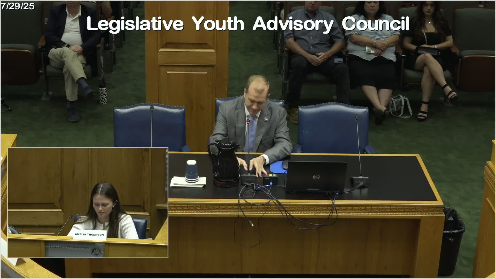Louisiana Bill Expands Psychologists' Telehealth Authority for Emergency Patient Evaluations