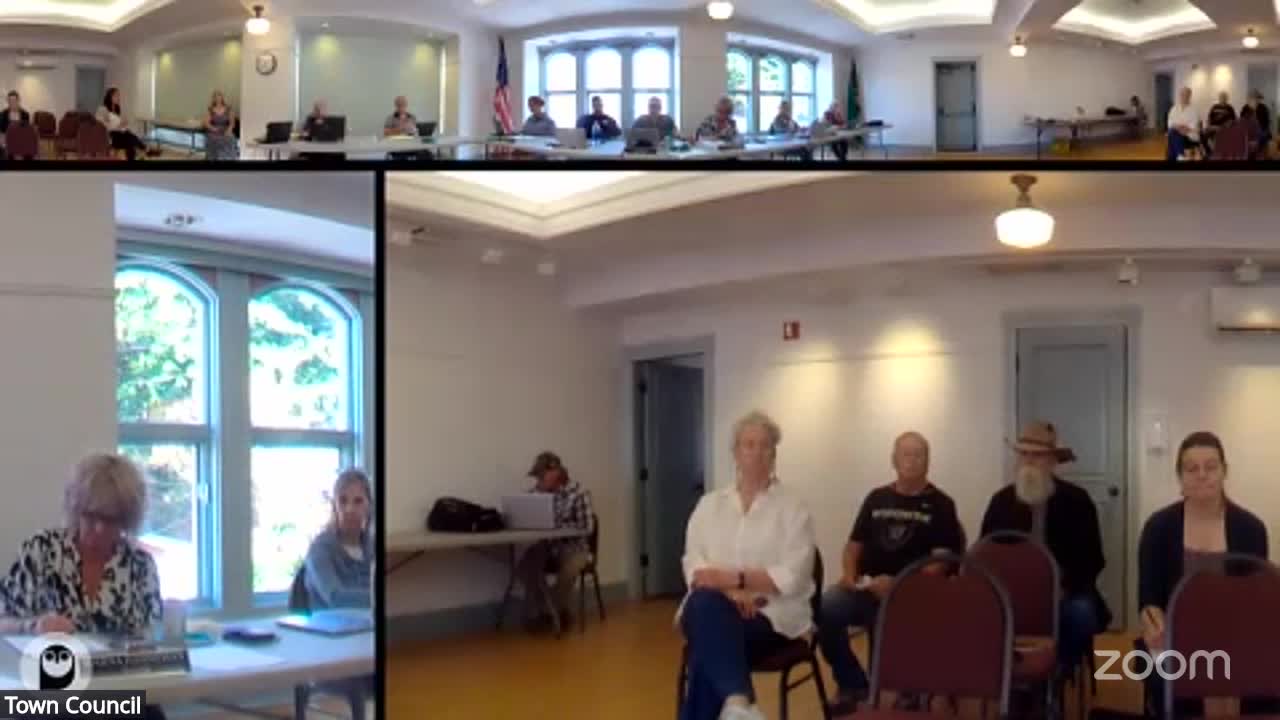 Town staff seeks council's OK to start brand creation to support a free website redesign