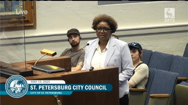 St. Pete Council Approves 90-Day Extension for Sunshine City Mosaic Installation
